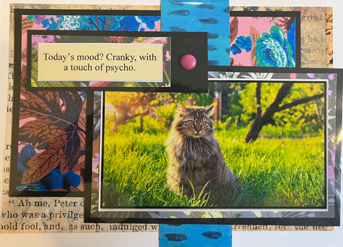 Cat Humor Card 11