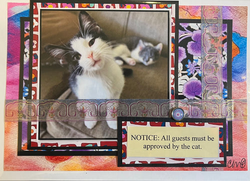 Cat Humor Card 10