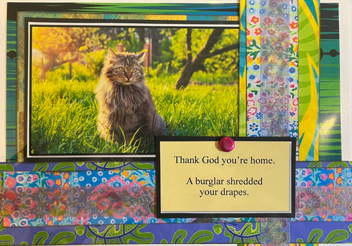 Cat Humor Card 1