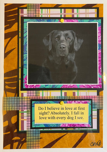 Dog Humor Card 5