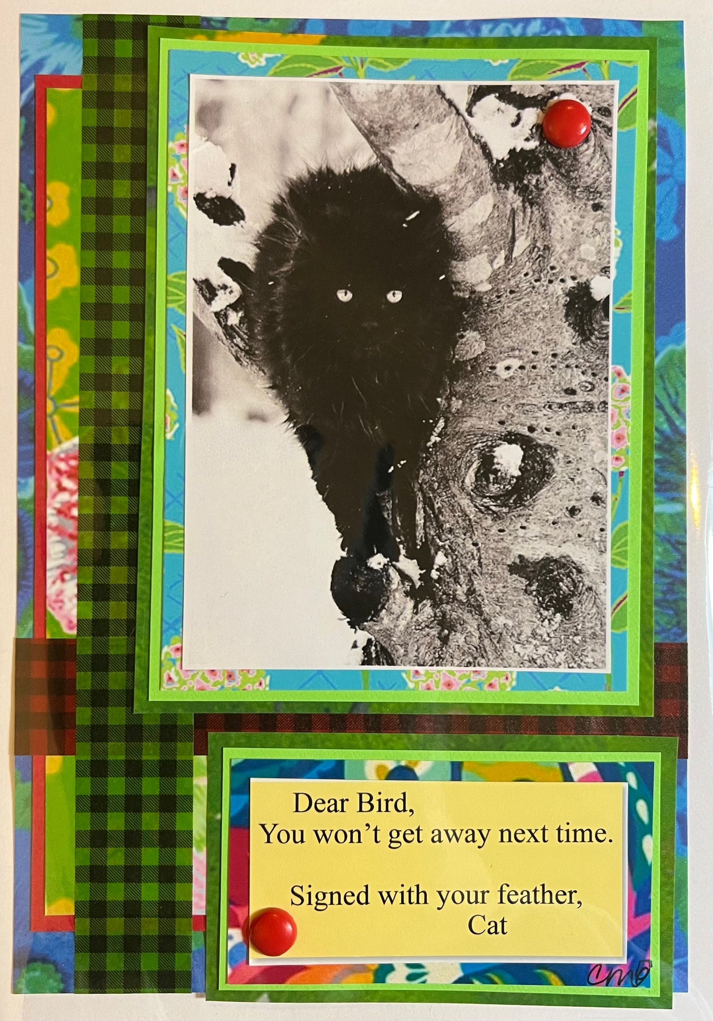 Cat Humor Card 19