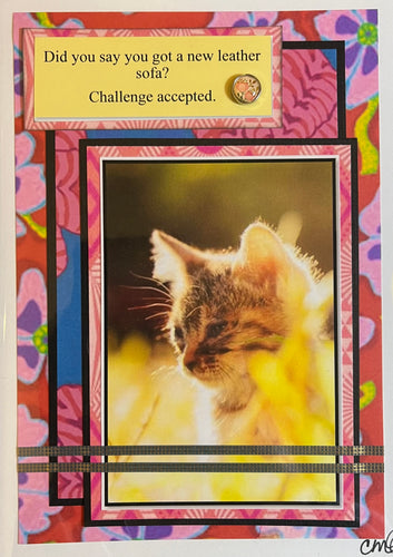 Cat Humor Card 18