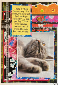 Cat Humor Card 17