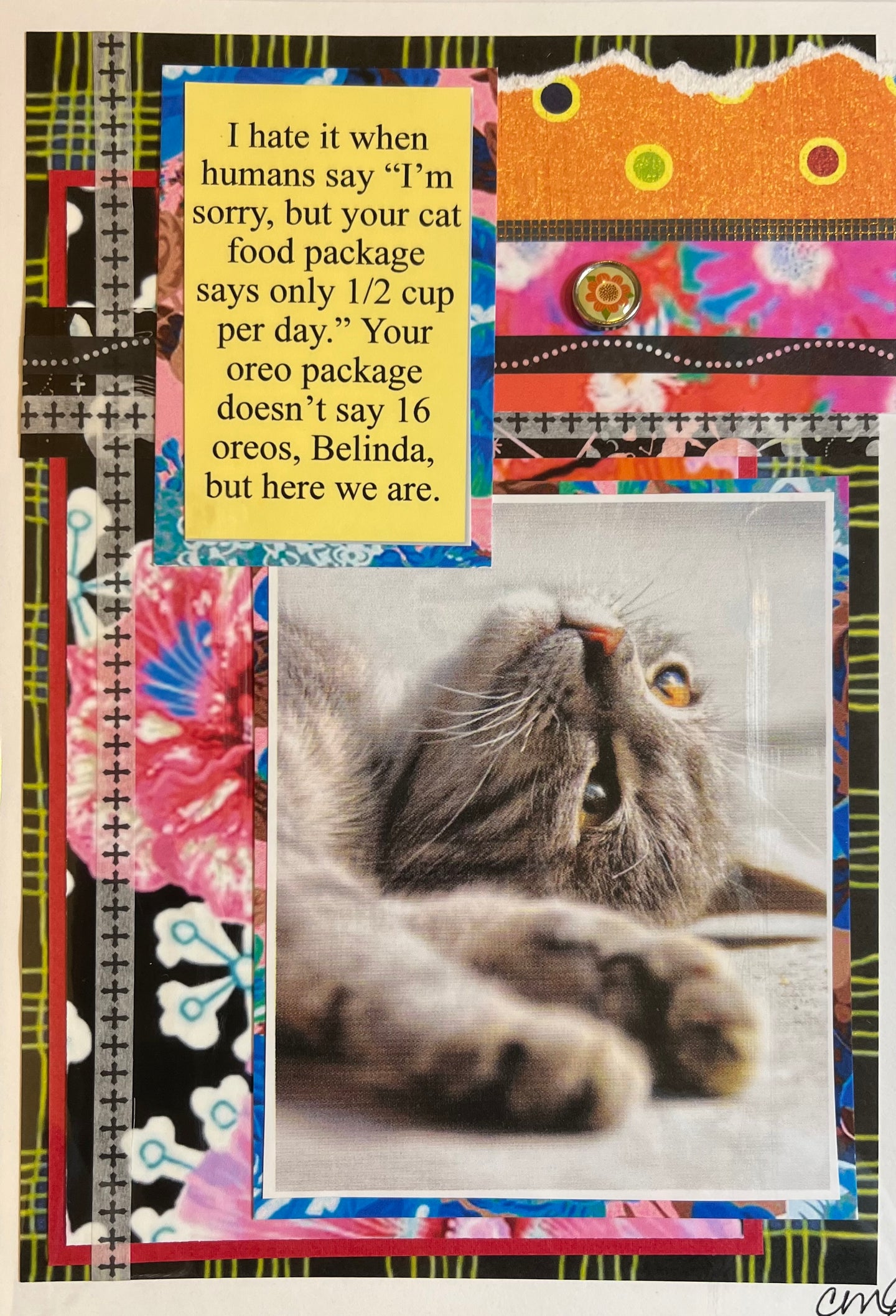 Cat Humor Card 17