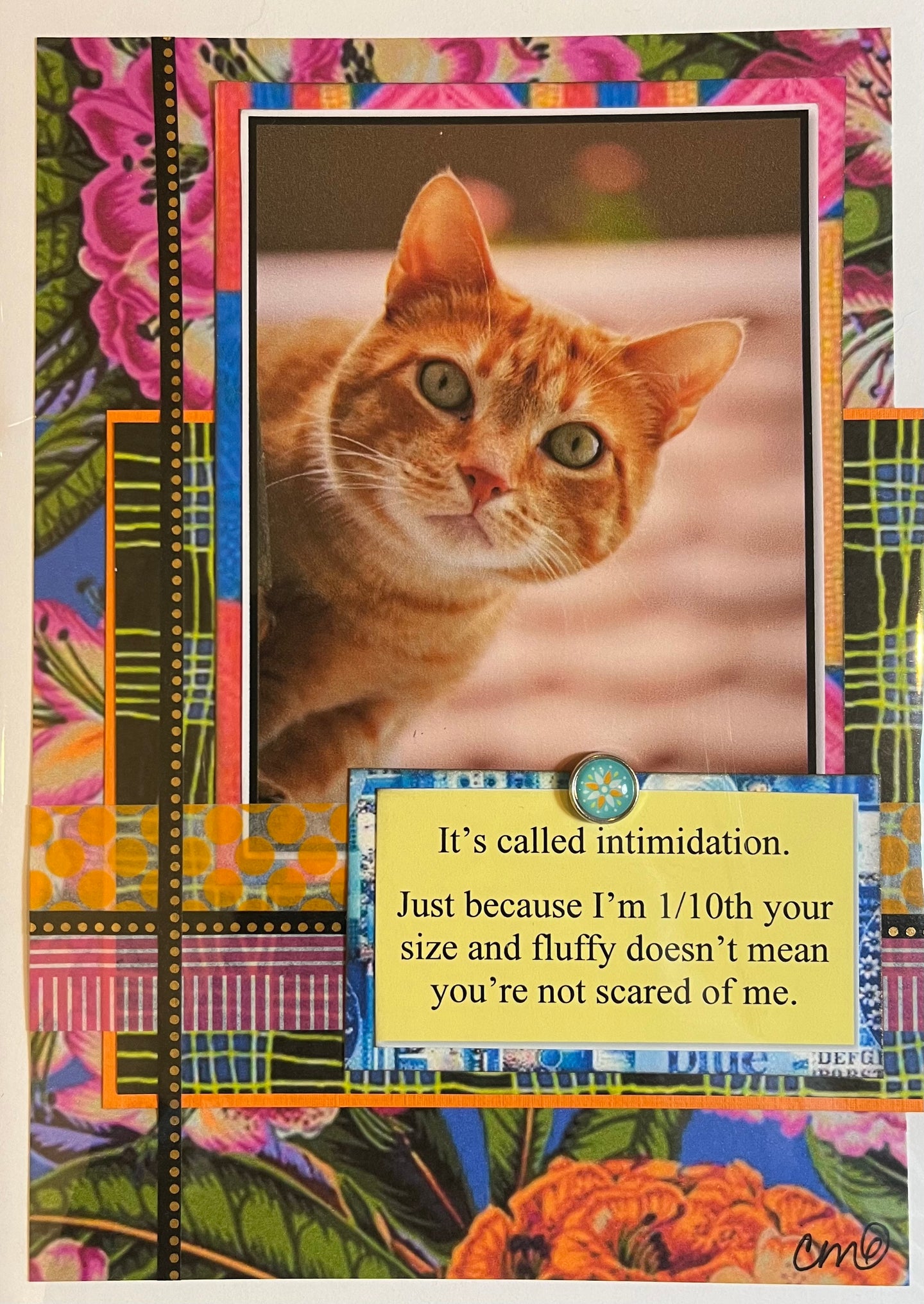 Cat Humor Card 16