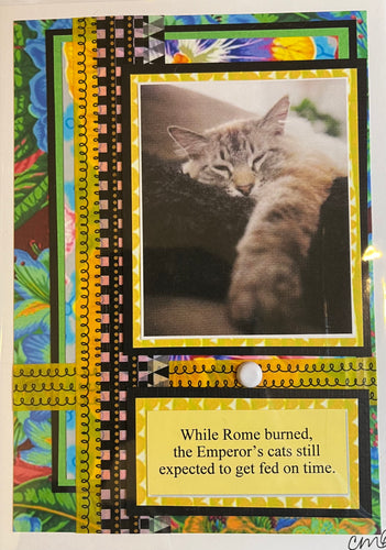Cat Humor Card 15