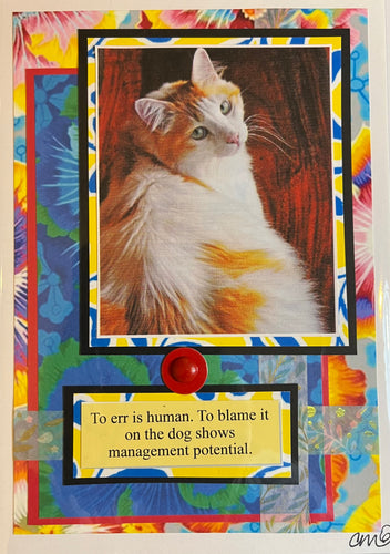 Cat Humor Card 14