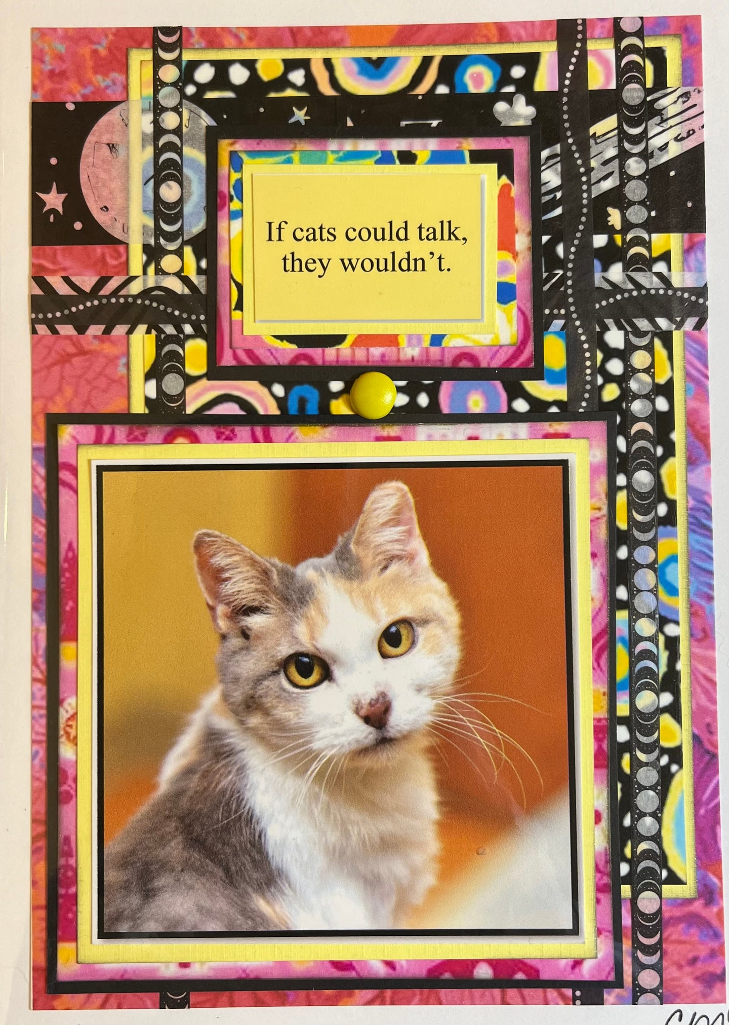 Cat Humor Card 13